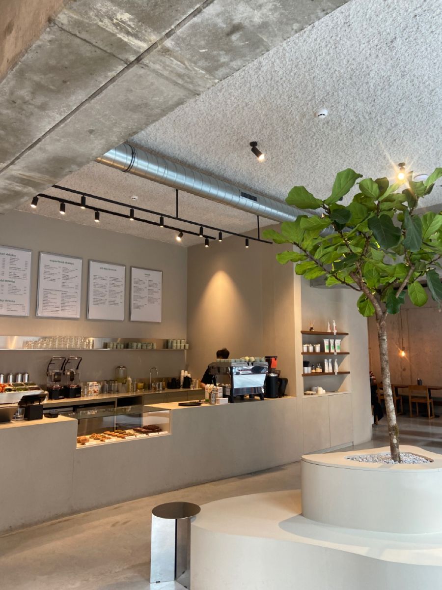 Inside Buna Labs: sunlit counter, pastry case and a fig tree